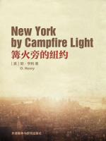 篝火旁的纽约 New York by Campfire Light