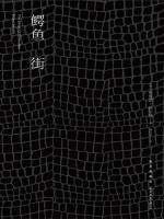 鳄鱼街 The Street Of Crocodiles