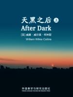 天黑之后（上） After Dark