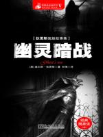 幽灵暗战 
