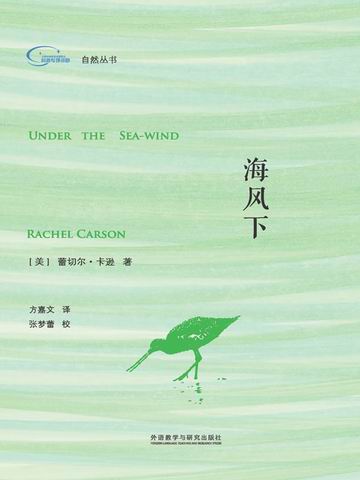 海风下 Under the Sea Wind