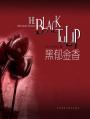 黑郁金香 The Black Tulip