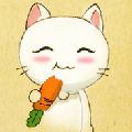 闲吃萝卜的猫
