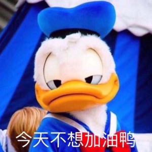 熊本猪