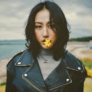 毛椰
