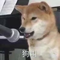 黑择明