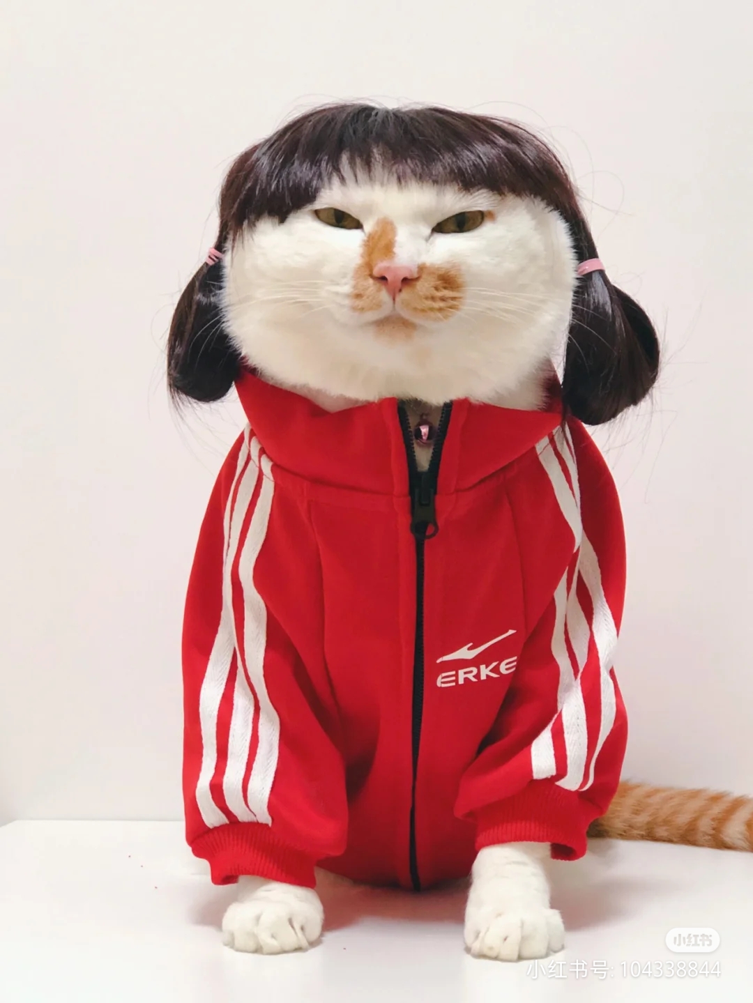 谷嘉玉